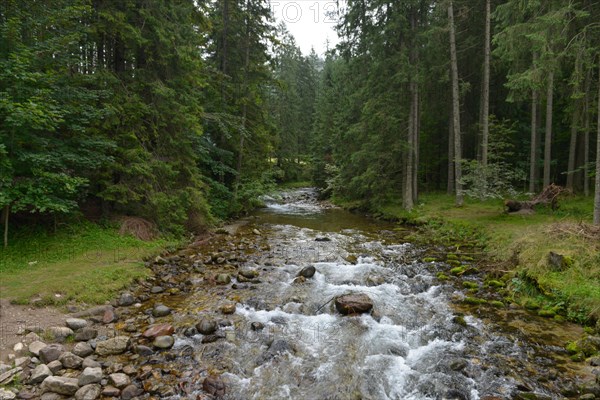 Mountain stream