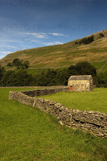 View of pasture