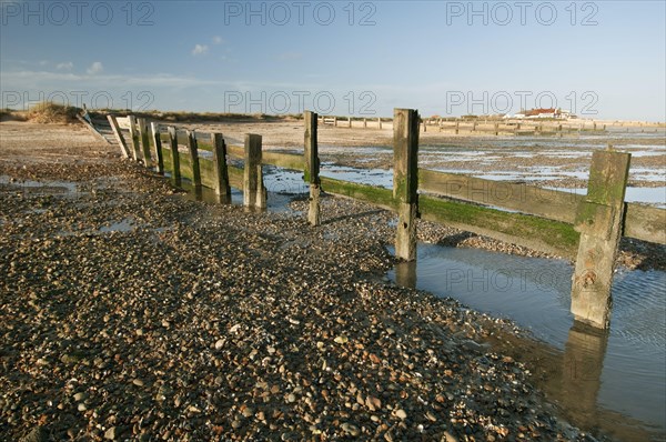 Breakwater on shingle beach habitat