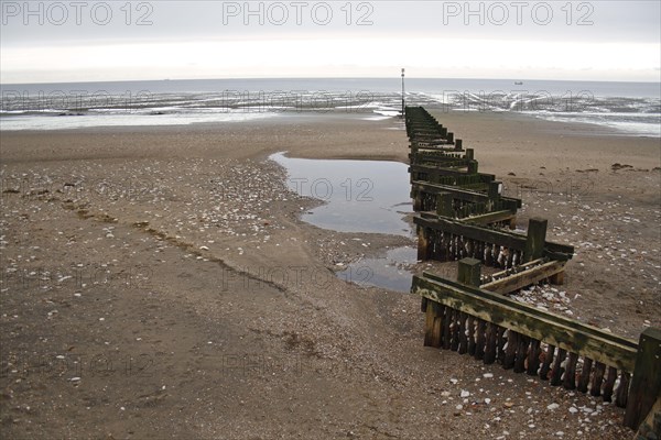 View of beach and groyne at low tide