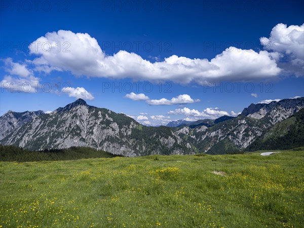 Postalm in the Salzkammergut