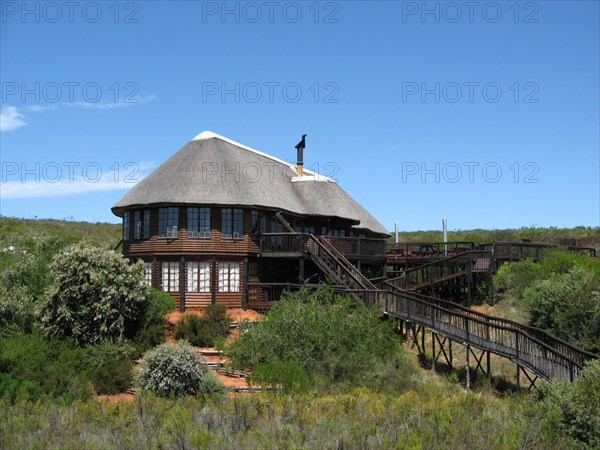 Buchu Bush Camp South Africa