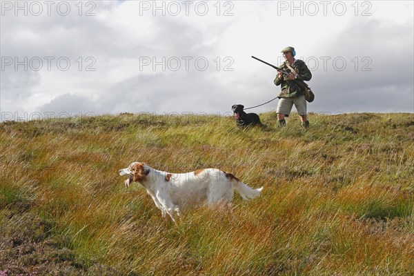 Grouse shooting