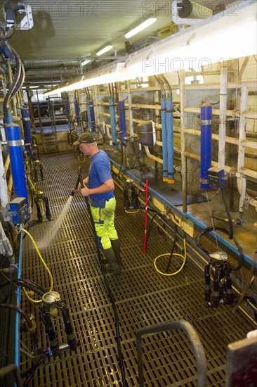 Dairy farmers clean milking parlour