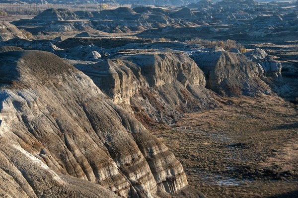 View of badlands habitat