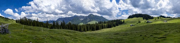 Postalm in the Salzkammergut