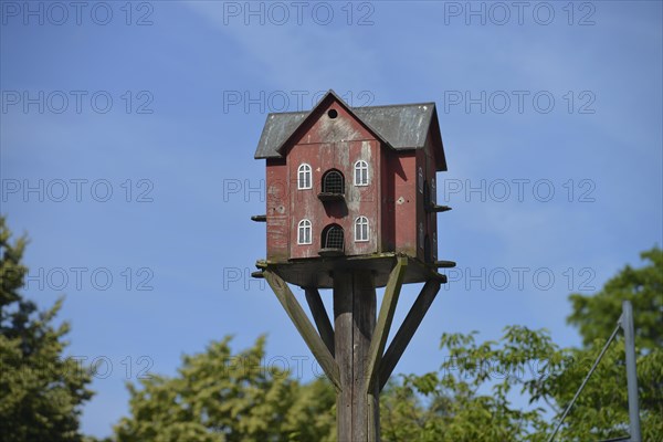 Bird House