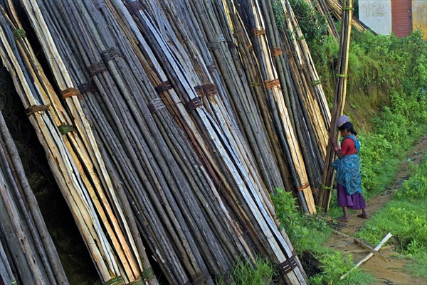 Woman unloading and stacking bundles of firewood logs