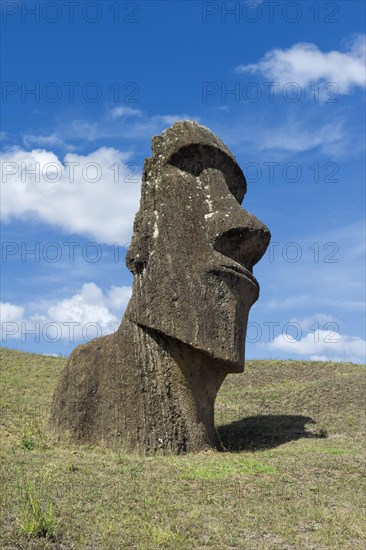 Moai in Rano Raraku