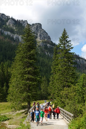 Hikers