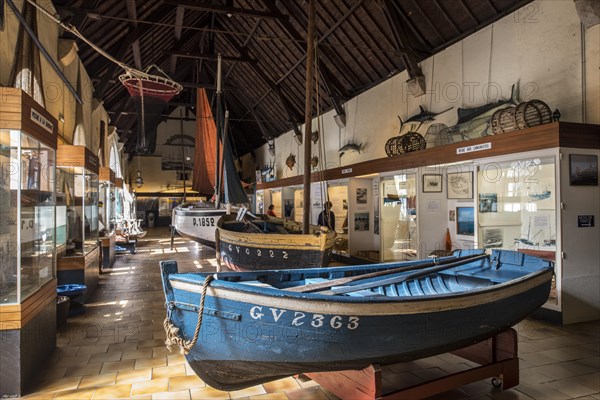 Interior of the Musee de la Peche