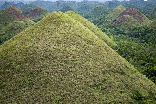 Cone-shaped karst hills of grass-covered limestone