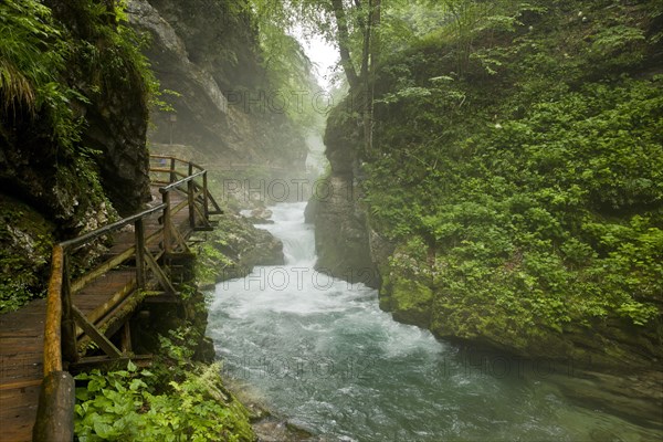 Mountain river gorge boardwalk