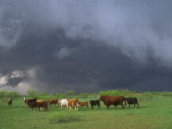 Stormy skies