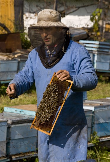 Bee keeping