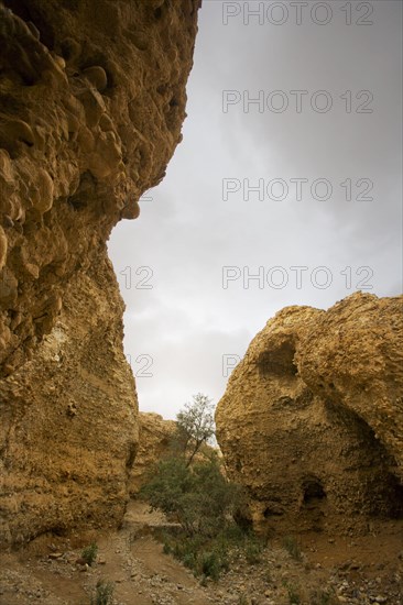 View of a canyon formed by an ephemeral stream in sedimentary rock