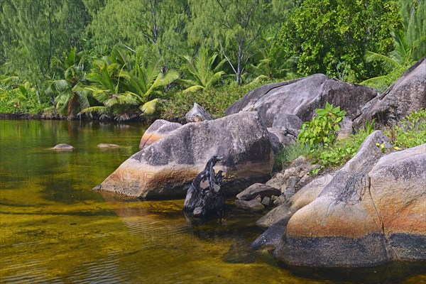 Brackish water lagoon at Anse Lazio