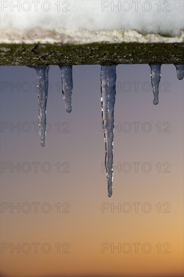 Icicles hanging from the gate at sunset