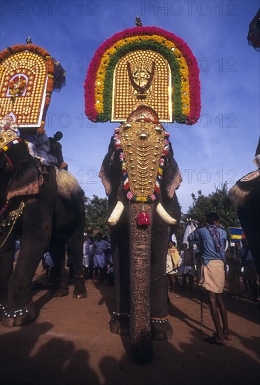 Decorated elephants in Chinnakathoor Pooram festival procession near Palakkad or Palghat