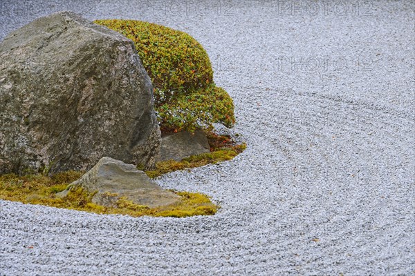 Stones and mosses amid raked pebbles in Zen garden