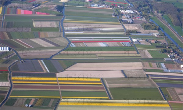 Aerial view of flower fields