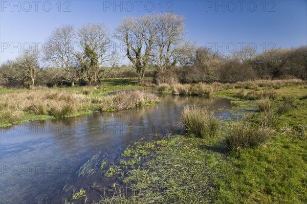 Chalk stream flowing through floodplain habitat