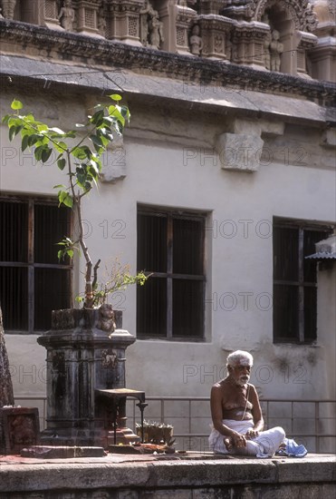 A Priest sitting under the sacred tulsi