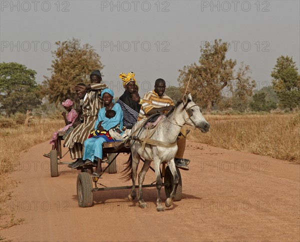 Senegalese family riding horse pulled cart to nearby market