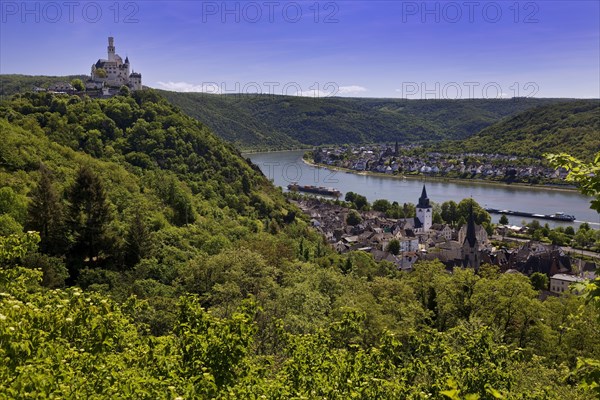 View of the Rhine Valley with Marksburg Castle