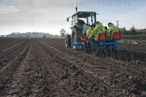 Tree planting