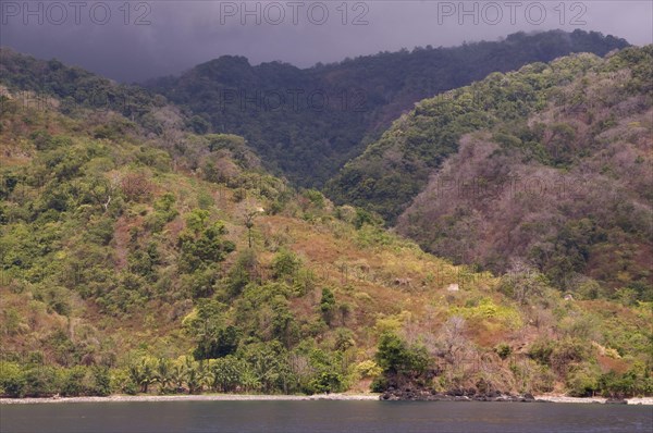 View of the coastline with forested hills and rain clouds