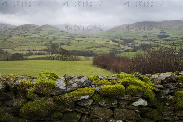 Looking over a moss-covered dry stone wall towards Fallen with low clouds