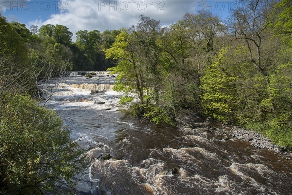 View of river and waterfalls