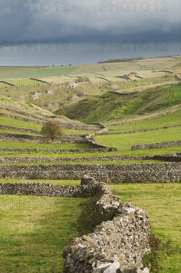 View of dry stone walls and pastures