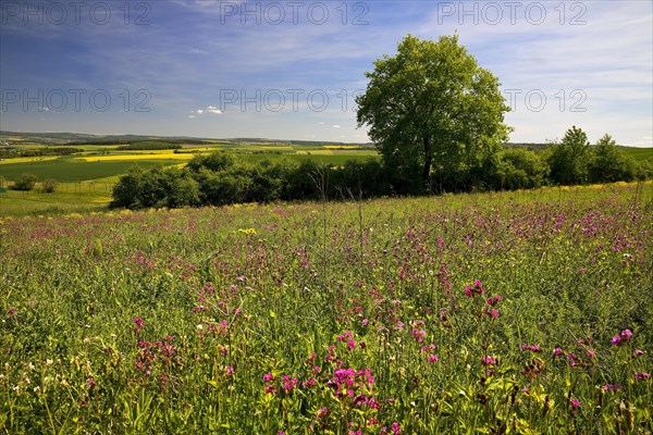 Cultural landscape in the Rhine-Lahn district