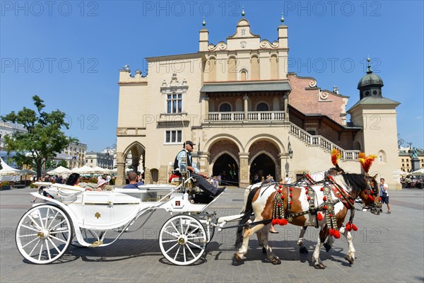 Horse-drawn carriage