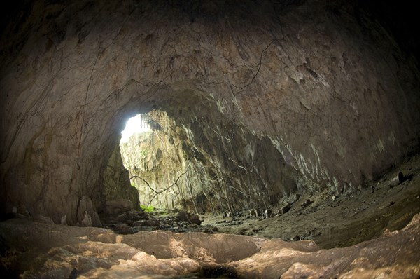 Inside the cave