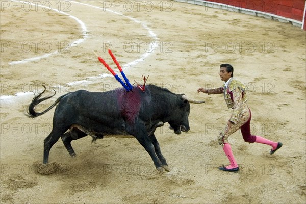 Bullfight