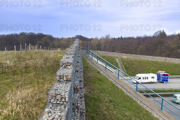 Wildlife bridge