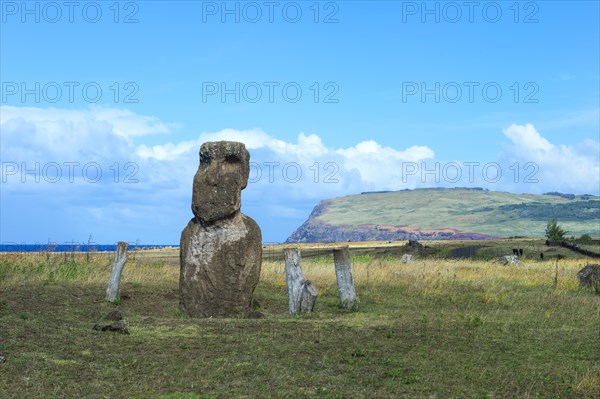 Vaihu Moai