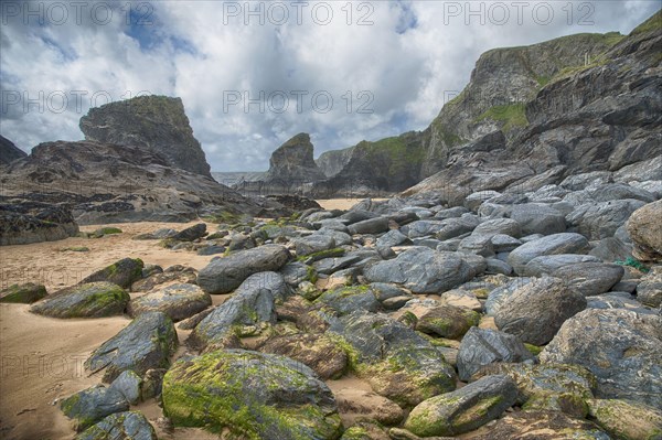 View of beach with slate cliffs