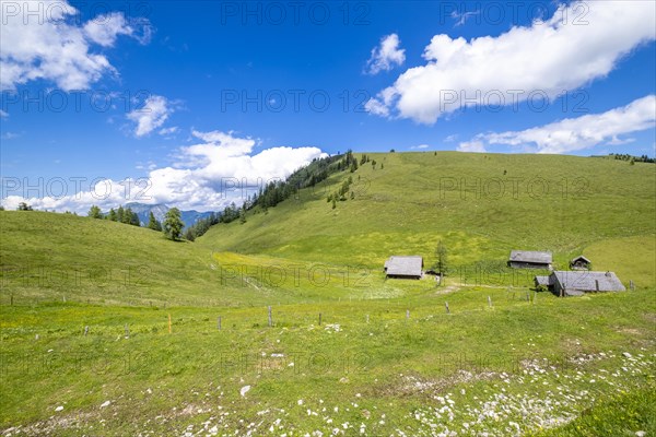 Postalm in the Salzkammergut