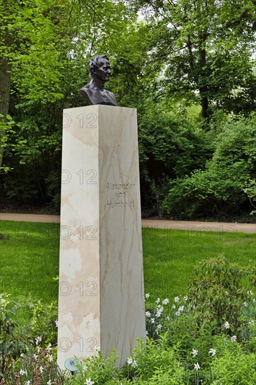 Bust of Alexander von Humboldt