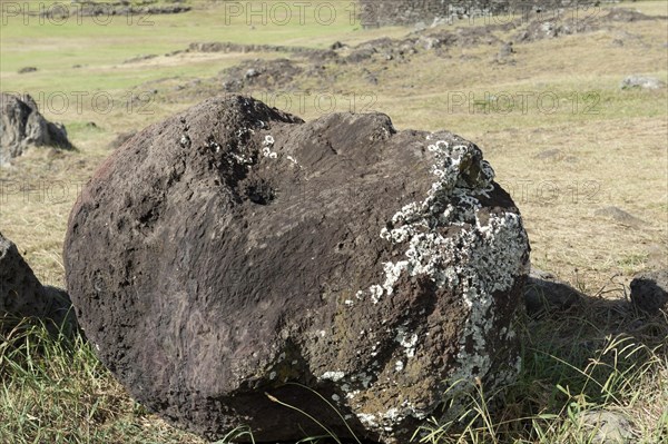 Head of a fallen moai