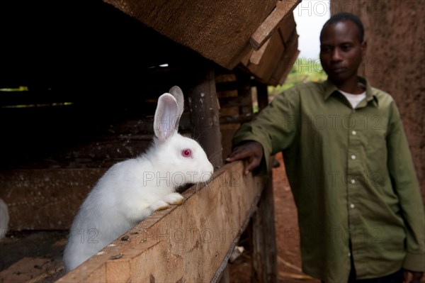 Rabbit breeding