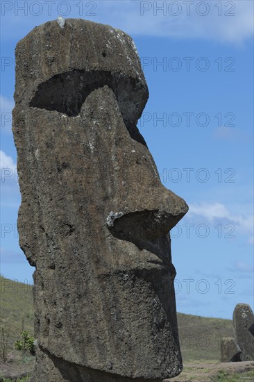 Moai in Rano Raraku