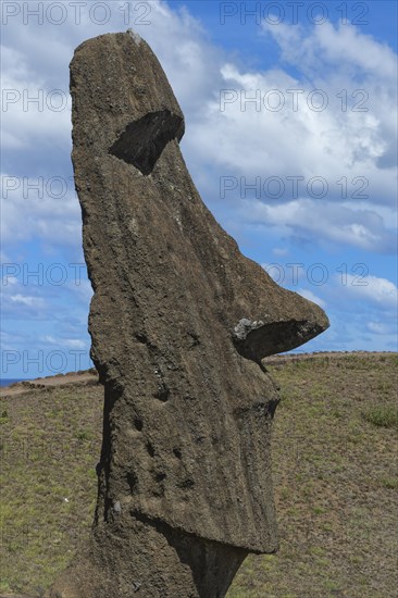 Moai in Rano Raraku