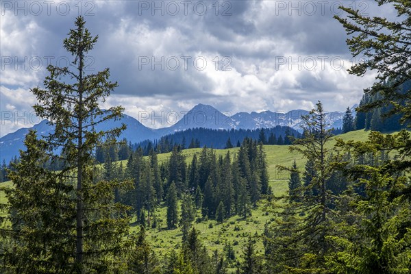 Postalm in the Salzkammergut