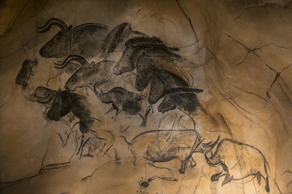 Replica of prehistoric rock paintings of the Chauvet Cave