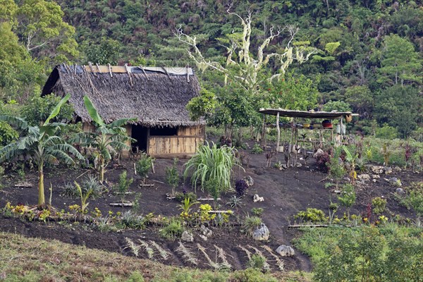 Subsistence farmhouse and garden